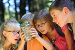 Kids looking at a bug inside of a jar